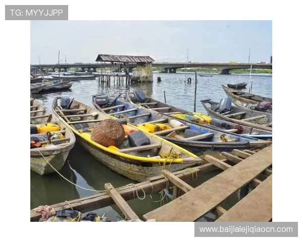 如何快速找到可靠的ag捕鱼官网地址，提供详细步骤和安全登录指南